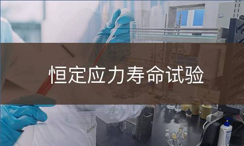 恒定应力寿命试验