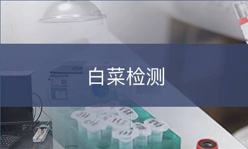 白菜检测