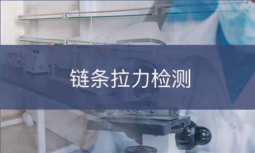 链条拉力检测