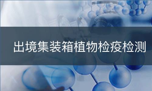 出境集装箱植物检疫检测