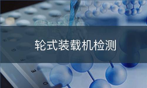 轮式装载机检测