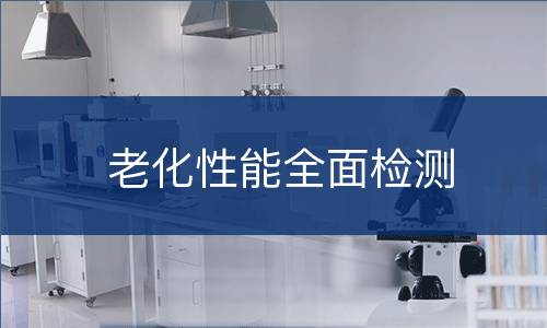老化性能全面检测