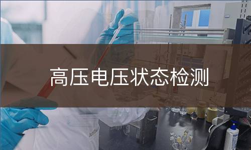 高压电压状态检测