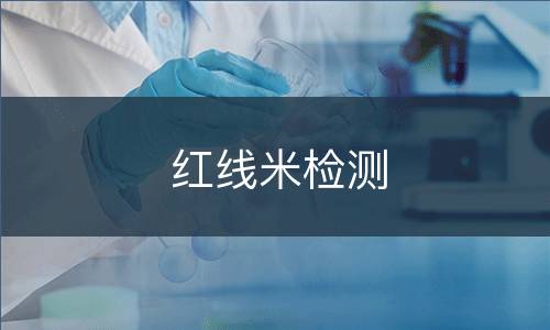 红线米检测