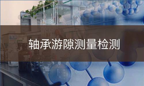 轴承游隙测量检测