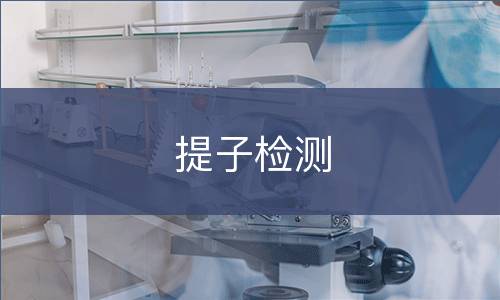 提子检测