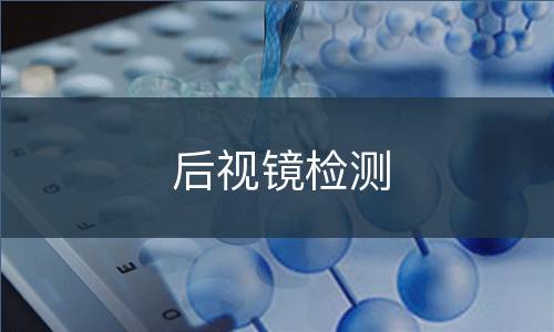 后视镜检测