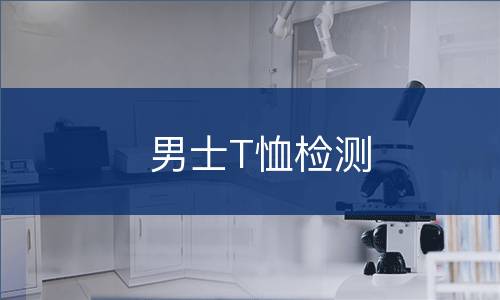 男士T恤检测