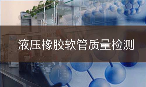 液压橡胶软管质量检测