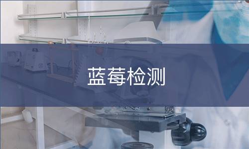 蓝莓检测