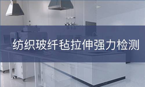 纺织玻纤毡拉伸强力检测