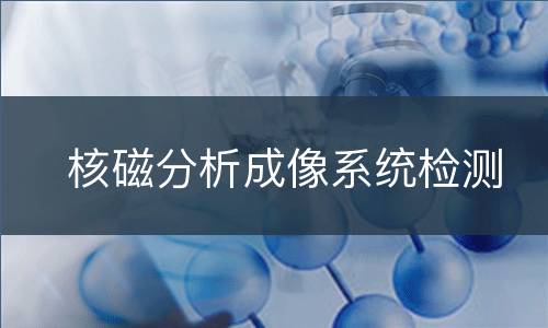 核磁分析成像系统检测