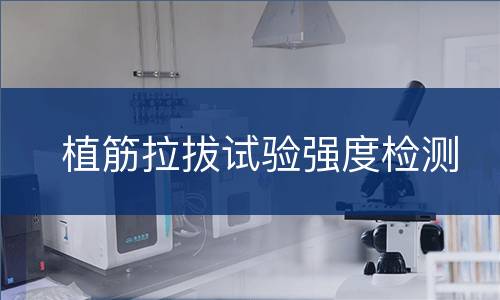 植筋拉拔试验强度检测