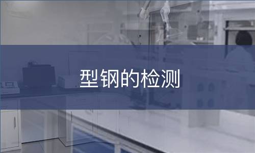 型钢的检测