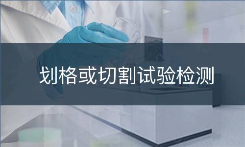 划格或切割试验检测