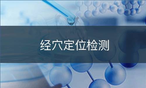经穴定位检测