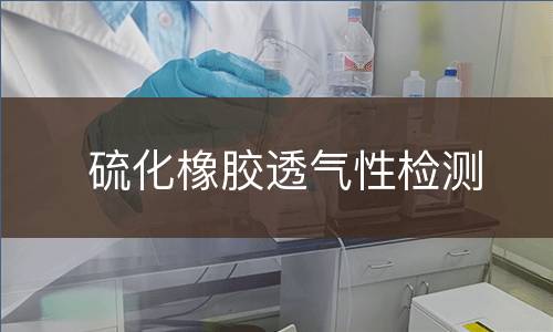 硫化橡胶透气性检测