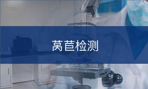 莴苣检测