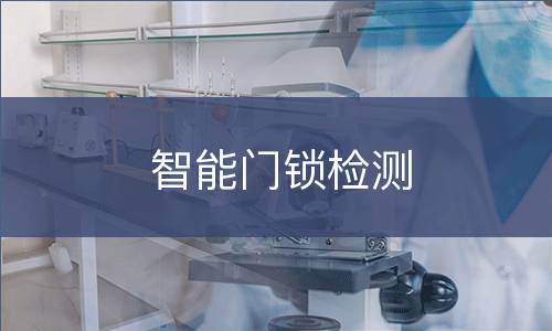 智能门锁检测