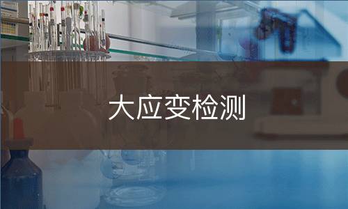 大应变检测