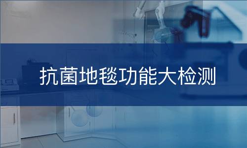 抗菌地毯功能大检测