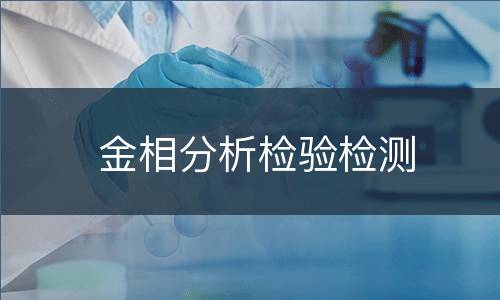 金相分析检验检测
