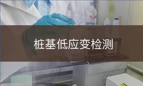桩基低应变检测