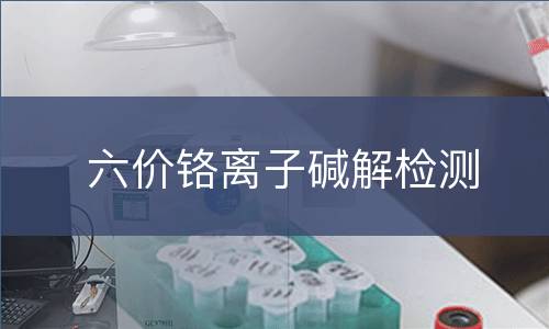 六价铬离子碱解检测
