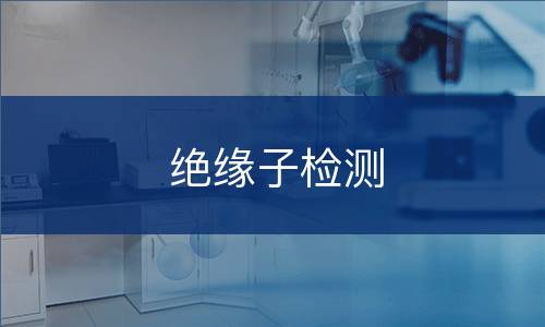 绝缘子检测