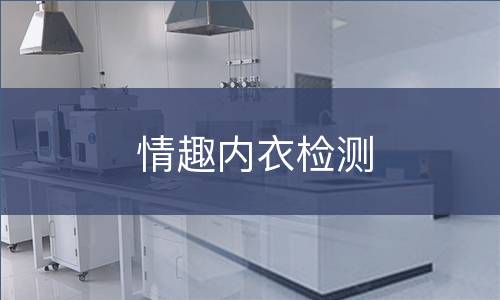情趣内衣检测
