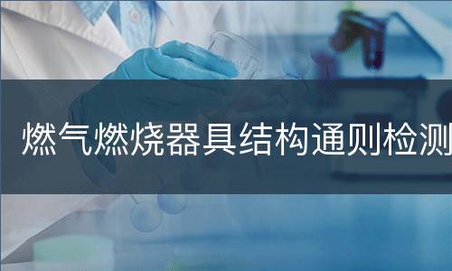 燃气燃烧器具结构通则检测