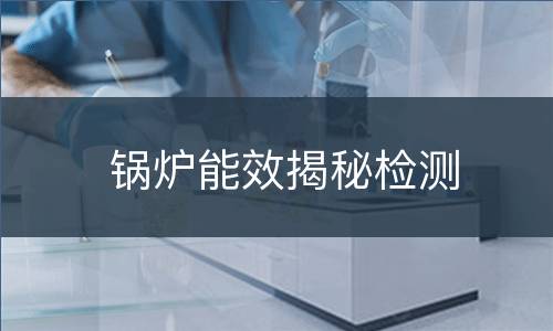 锅炉能效揭秘检测