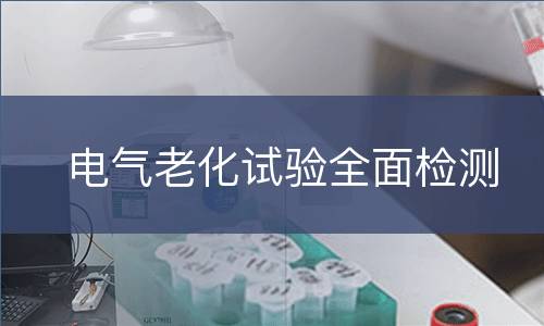 电气老化试验全面检测