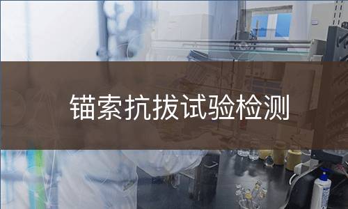锚索抗拔试验检测
