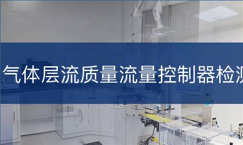 气体层流质量流量控制器检测